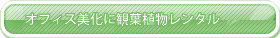 オフィス美化に観葉植物レンタル